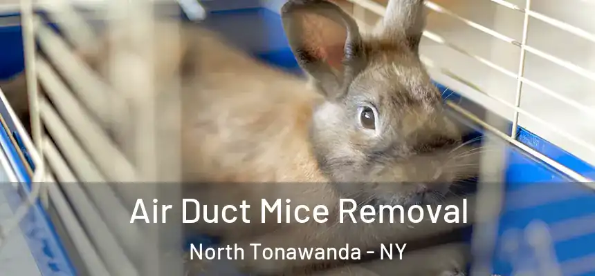  Air Duct Mice Removal North Tonawanda - NY