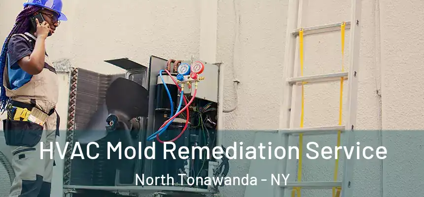  HVAC Mold Remediation Service North Tonawanda - NY