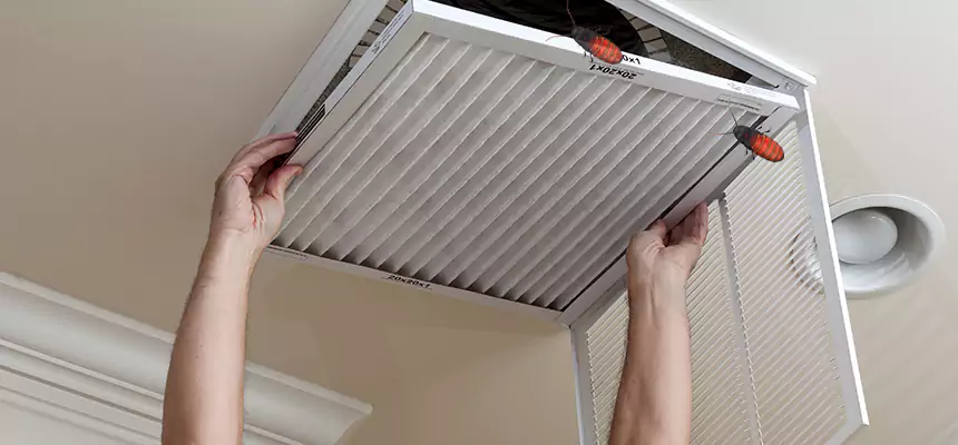Preventive Cockroach-Proofing for Ducts in North Tonawanda