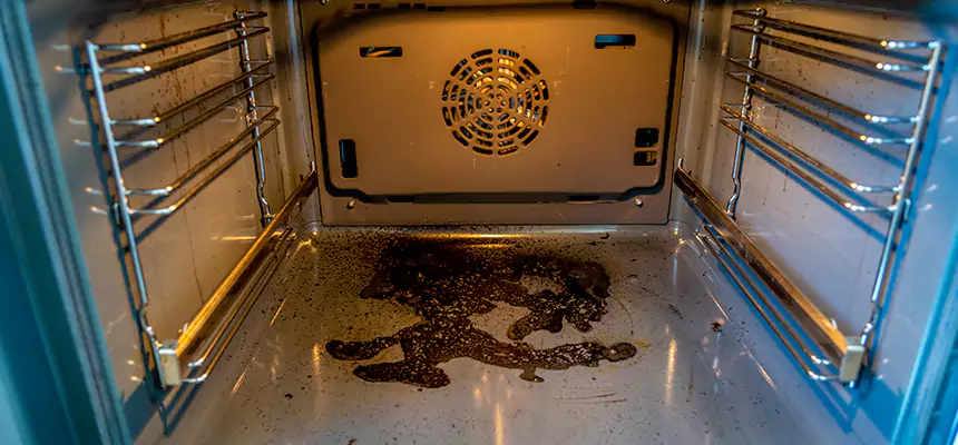 Our Dryer Vent Mold Cleaning Services in North Tonawanda, NY