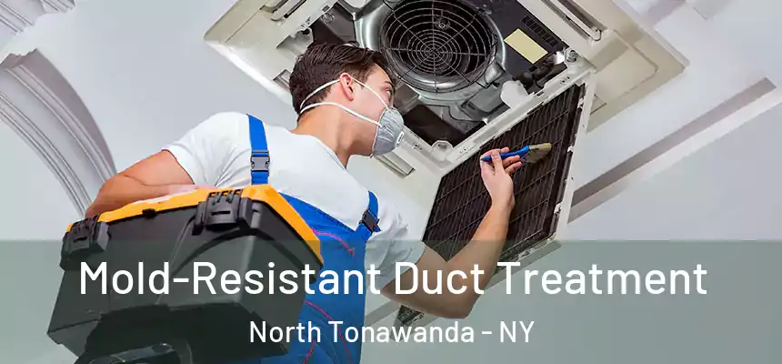  Mold-Resistant Duct Treatment North Tonawanda - NY