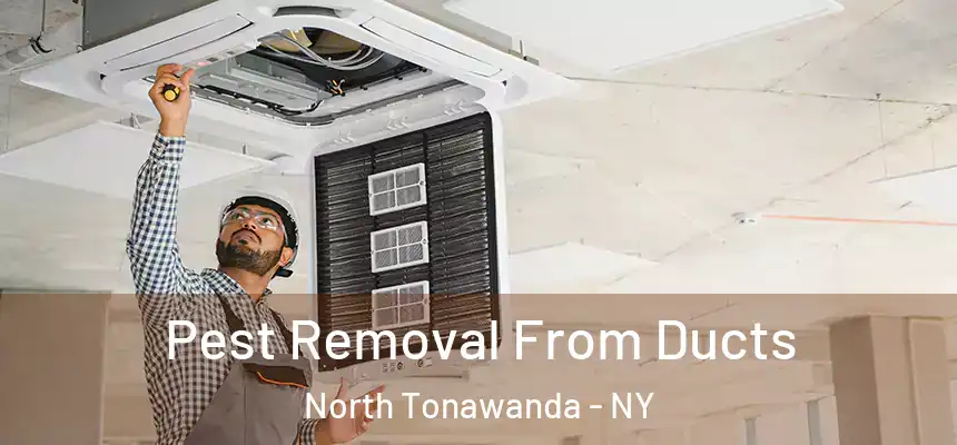  Pest Removal From Ducts North Tonawanda - NY