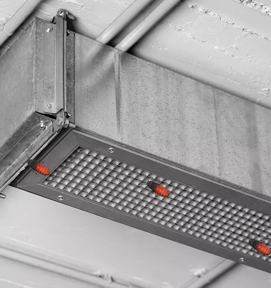 Affordable Insect Removal from Air Ducts in North Tonawanda, NY